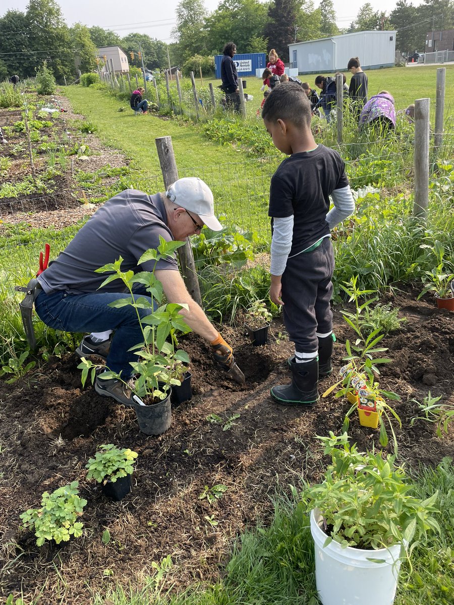 GuelphVillage's tweet photo. 125+ #pollinators planted this morning! #transformation of space thank you @stpetersaints students, community volunteers &amp; donors! @WellingtonCath @grandriverca @PollinateGuelph #Commit2Act @RalfMesenbrink @LBusuttil #FoodAccess #FoodSecurity #Guelph https://t.co/PCrQLaPN2f