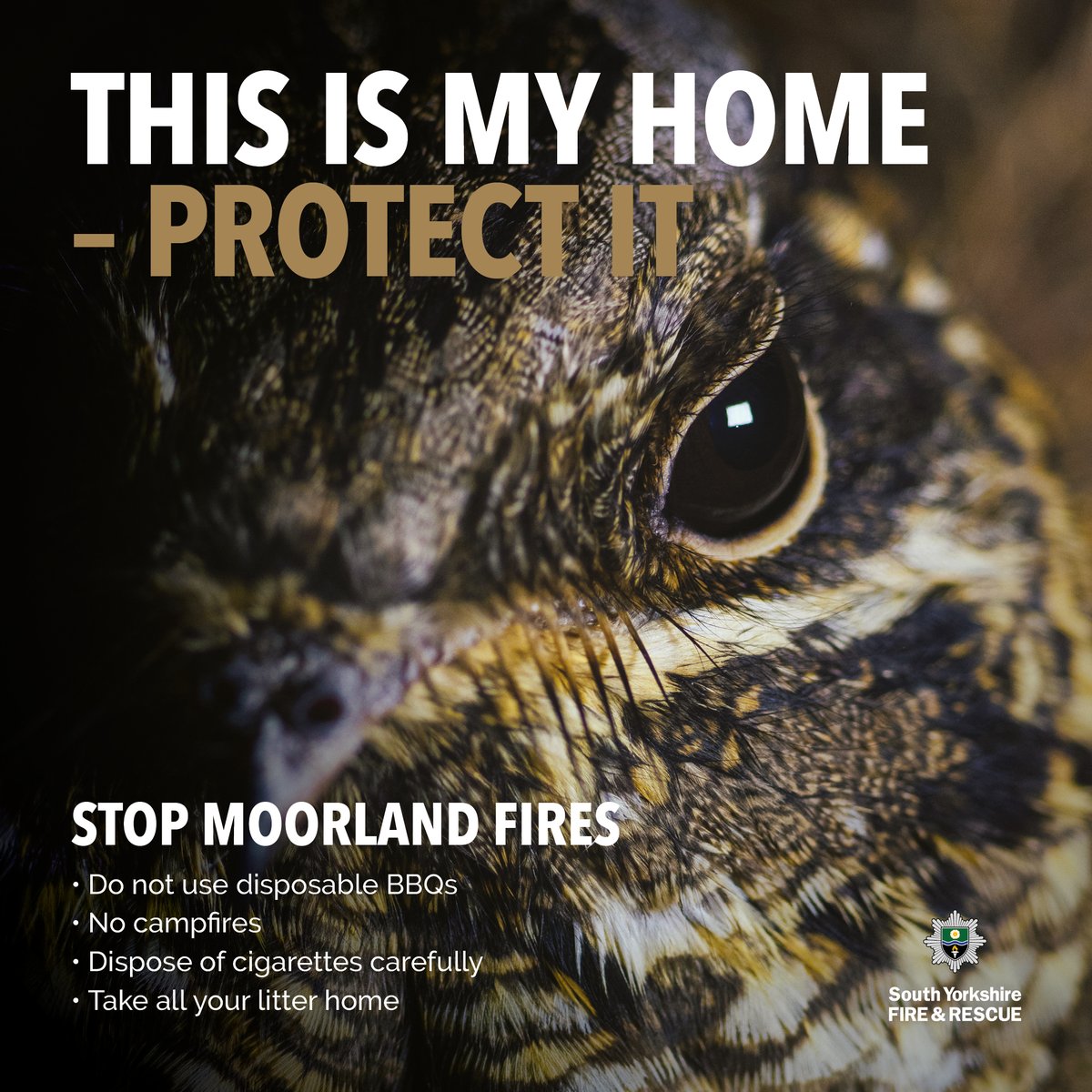 Please protect, respect and enjoy the countryside, hills and moorland of South Yorkshire and the Peak District ... <a href="/EasternMoors/">Eastern Moors</a> <a href="/peakdistrict/">Peak District National Park</a> <a href="/DerbyshireFRS/">Derbyshire Fire & Rescue Service</a> <a href="/SYFR/">South Yorkshire Fire</a>