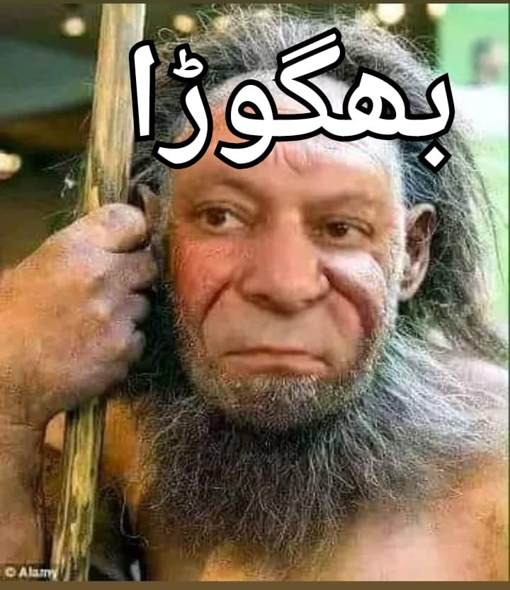 نوازشریف نے الیکشن مہم کو لیڈ کرنے کی ہماری درخواست قبول کر لی،وہ الیکشن سے60سے90دن پہلےپاکستان آئیں گےراناثنا
جب تک بندیال صاحب چیف جسٹس تب تک نوازشریف واپس نہیں آئیں گے۔۔جاوید لطیف
اب ان دونوں بیانوں کےبعد دو باتیں،پہلی بات
1/3
@TeamPakPower
@tippusultan1799
#خان_کی_طاقت_عوام