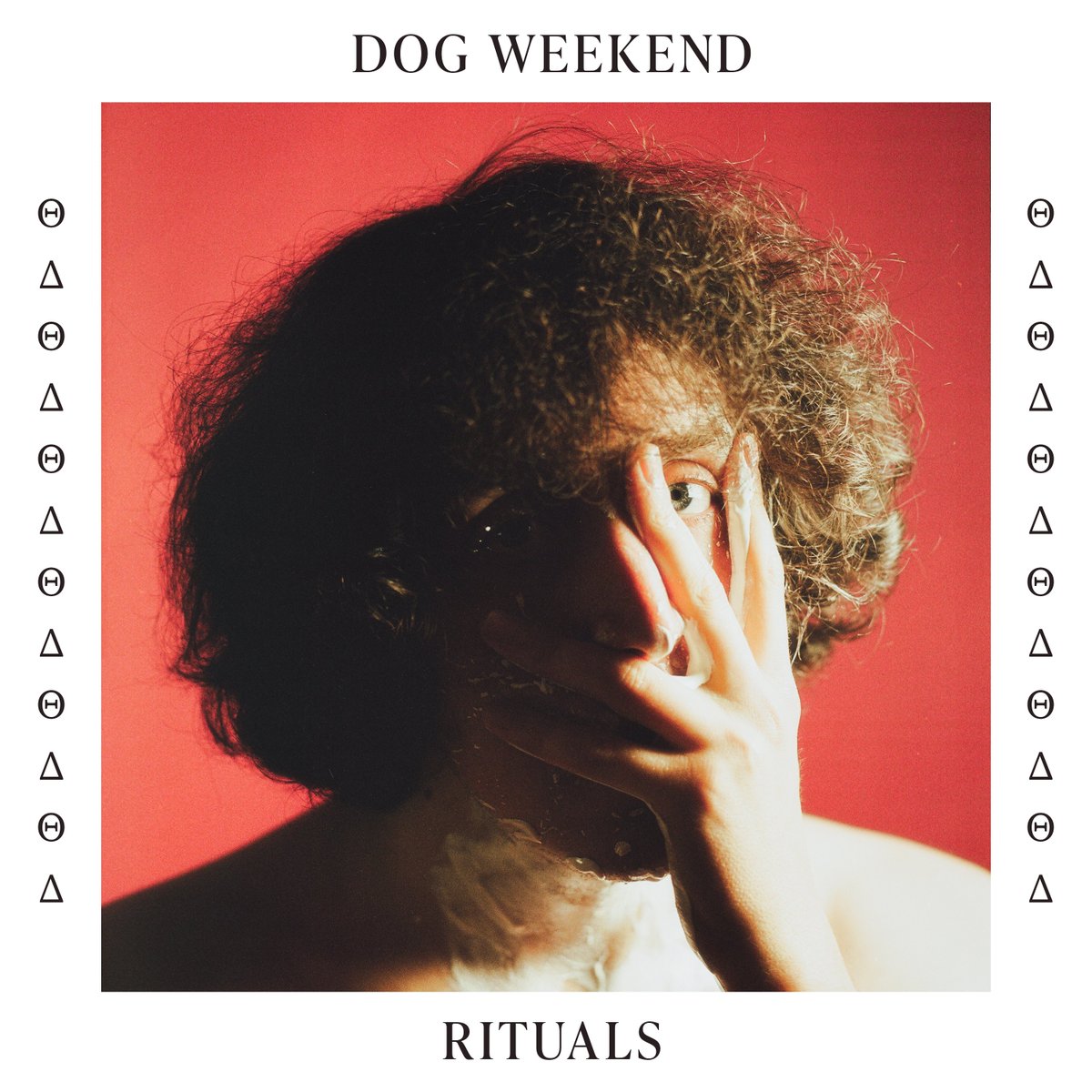 dog.weekend tweet media