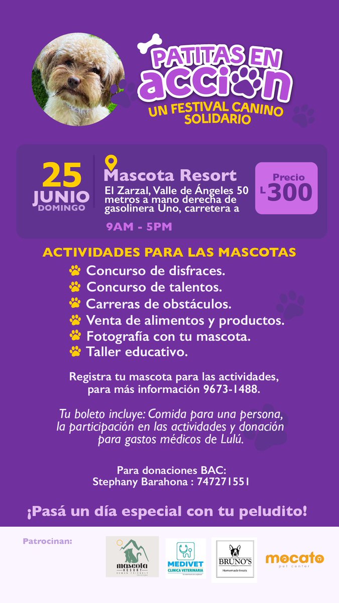 Los invito este miércoles a <a href="/SanteTegus/">Santé Tegus</a> para pasar un momento ameno 💜 y el Domingo a un festival de perritos 🐶 con el objetivo de recaudar una parte de los gastos médicos para la operación de mi perrita Lulú