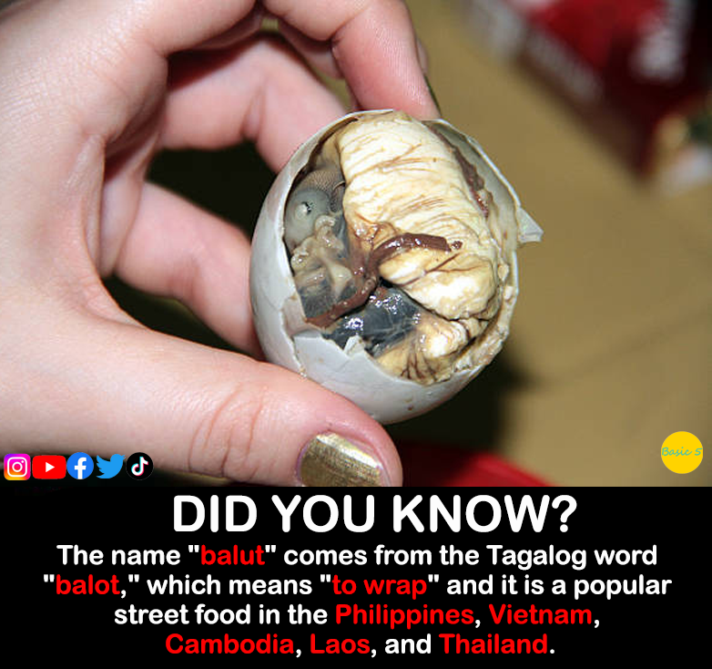 Basic5_official's tweet photo. Balut

🔔 Subscribe to our channel
YouTube : https://t.co/0AfqWGa5e0
Facebook : https://t.co/M4D5cnIUWo
Instagram : https://t.co/dMAwcRS7hs
Twitter : https://t.co/KSuBU6SE6c
TikTok : https://t.co/UcMGhmdp7Z https://t.co/DjZbis1vjf