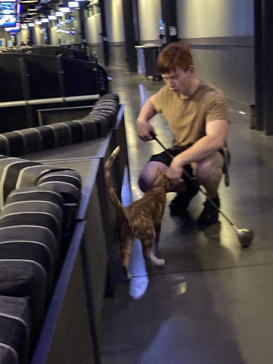 Firestrike551's tweet photo. Top golf cat top golf cat! https://t.co/f4o7DvrVk5