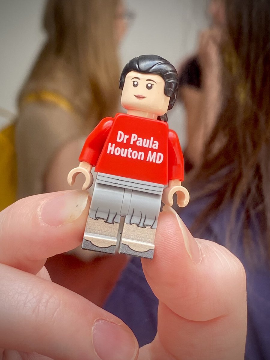 As is tradition for <a href="/QUBMedEd/">QUB Centre for Medical Education</a> doctoral students (&amp; a rite of passage) no better place for <a href="/houton_paula/">Paula Houton</a> to be awarded her Lego Doctorate award <a href="/SESAMSimulation/">SESAM</a> #SESAM2023 
Many congrats Paula from your proud supverisors <a href="/DrHelenReid/">Helen Reid</a> and colleagues who supported you on the way!