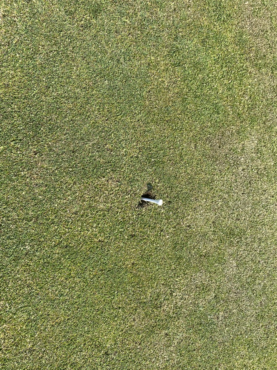 Jim McKenzie MBE tweet media