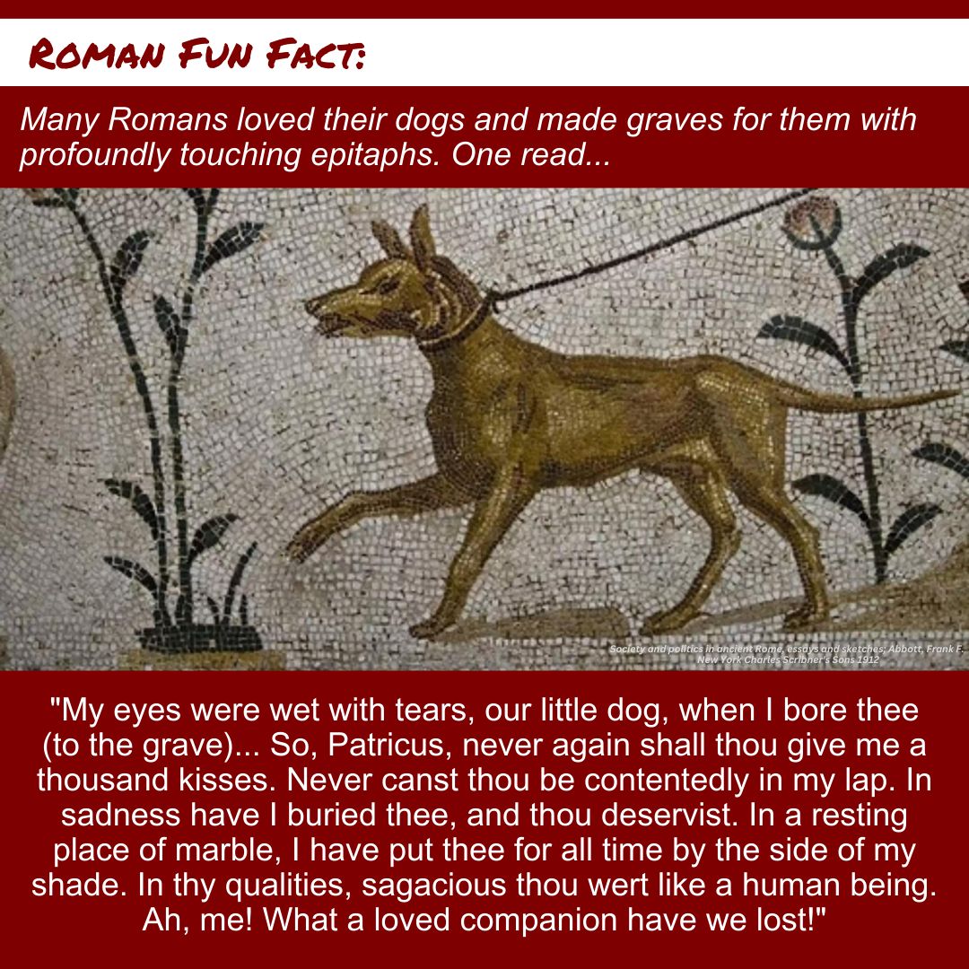 #funfact #FunFactFriday #didyouknow #medievalcollectibles