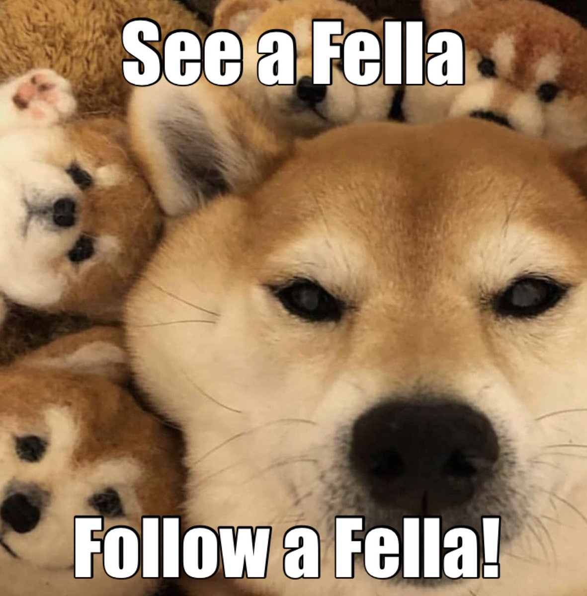 #Fellas! 👋 Can I ask for a small boost, please?
I will have a lot of interesting material 🇺🇦

#SeeAFella #FollowAFella
#followafellafriday