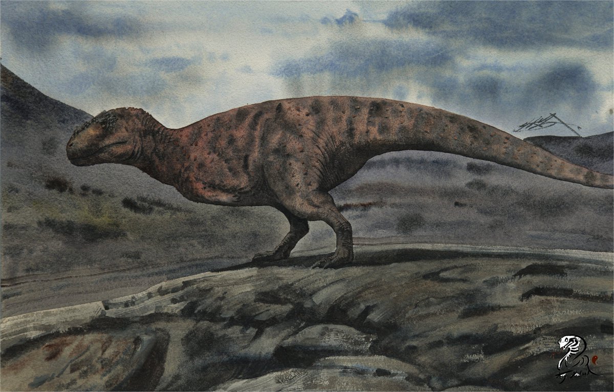 Prehistoric planet reconstruction 
Rajasaurus
Tools: Watercolor