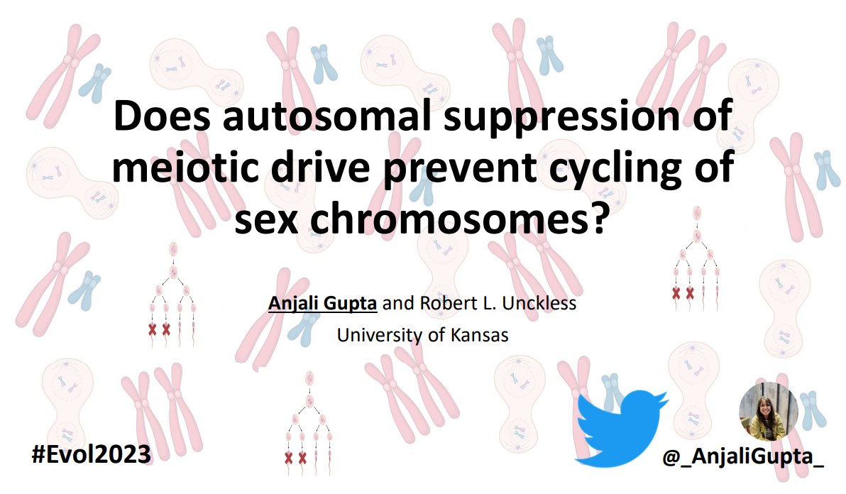 I'm giving my first talk at this Evolution meeting #Evol2023 @Evol_mtg @SSEgrad @sse_evolution 
If you're interested in meiotic drive, mathematical models, and population genetics, stop by my talk :) 
Session: Evolutionary Theory II, June 23, 11:15AM - 12:30PM (La Cienega / 240)