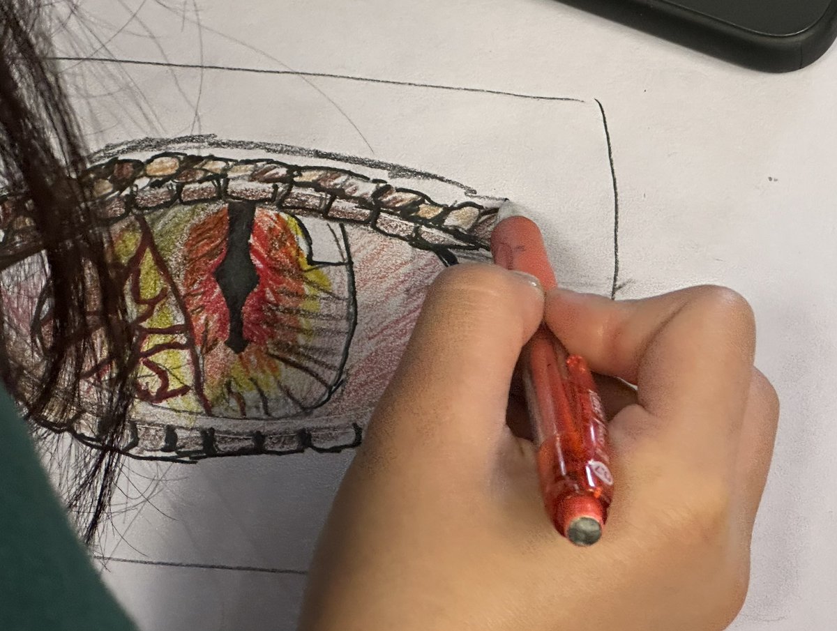 Today we are sketching Dragon eyes. Students learning to layer colours to create depth and interest. Great start. Finished products to come! <a href="/CPS_Community/">Central PS Community</a> <a href="/HaltonDSB/">HDSB</a> <a href="/centralpshdsb/">Central P.S.</a>