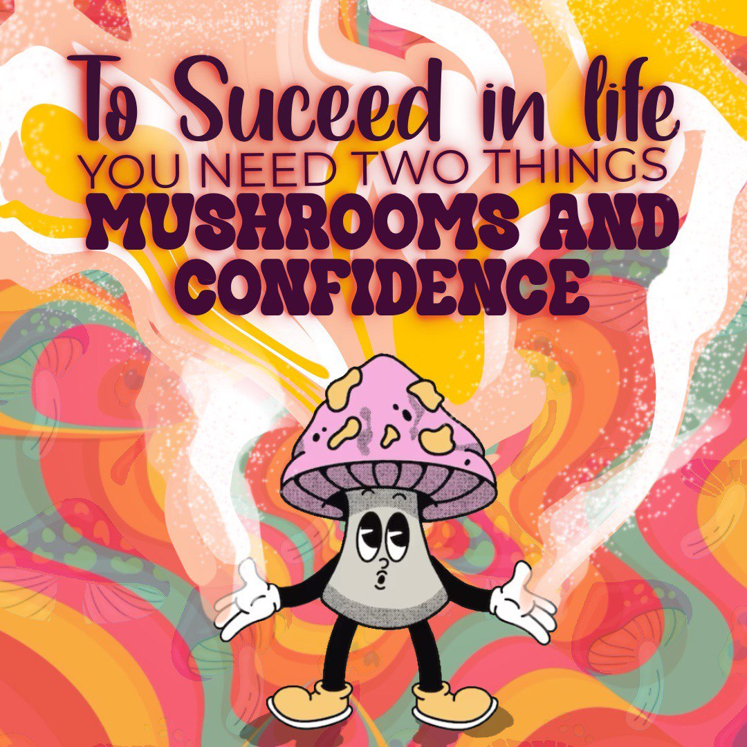 To succeed in life you need two things:
Mushrooms & Confidence 😌 🍄

For use only by adults +21. Nothing for sale.

All rights reserved to the copyright owners.

#inlandempire #oc #giveaway #lakeforest #missionviejo #irvine #alisoviejo #costamesa #santaana #riverside #tbt