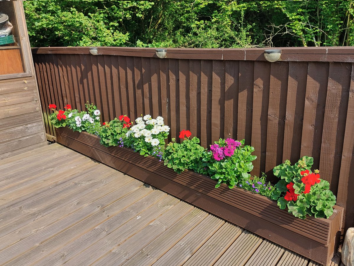 Exactly why you should buy your plants from <a href="/madleyplants/">Madley Plants</a> 
#consistent
#quality 
#Local