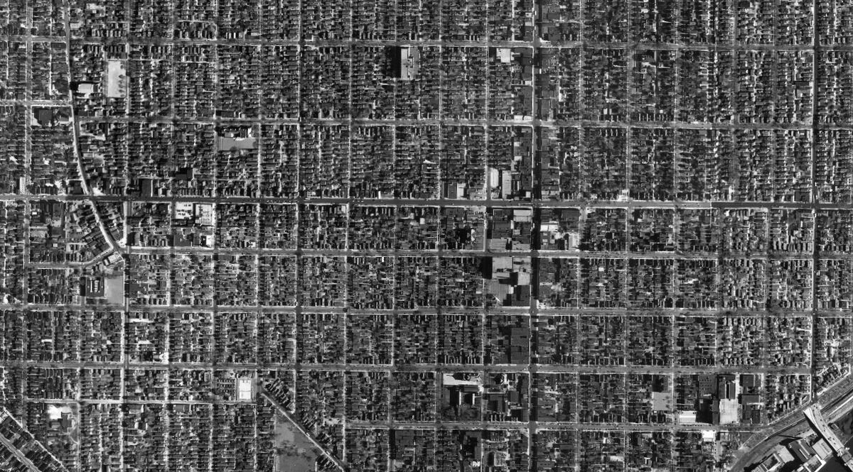 Gard Pecor tweet media