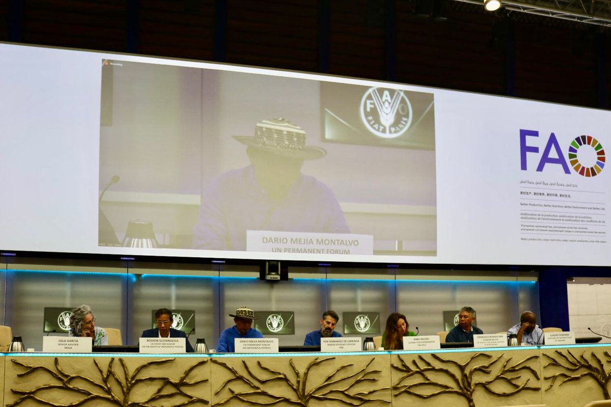 FAOIndigenous's tweet photo. Thanks @FAO ESP for the opportunity to present on #IndigenousPeoples and #RuralTransformation! 
Indigenous Peoples' wellbeing differs significantly from dominant views. 
Their perspectives and rights must be respected in any project design. 
@IWGIA @UN4Indigenous #UNPFII https://t.co/vrWxVbzk9g
