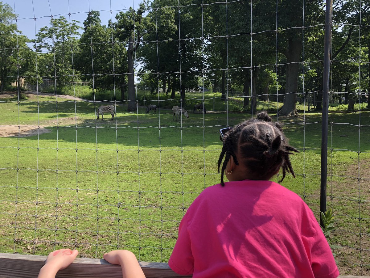 EarlyPilot's tweet image. Field trip to the @zoonewengland fun bus ride, #reading to learn cool facts, amazing family chaperones, wearing sunglasses from @RocklandTrust @BostonSchools @BPSEarlyLearn @CPC_BPS @BPS_OMME