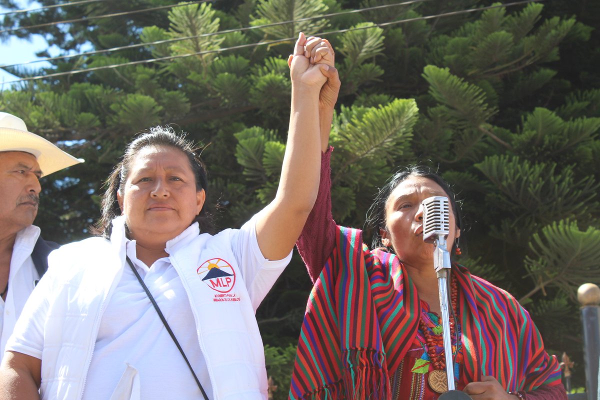 MLP Guatemala (oficial) tweet media