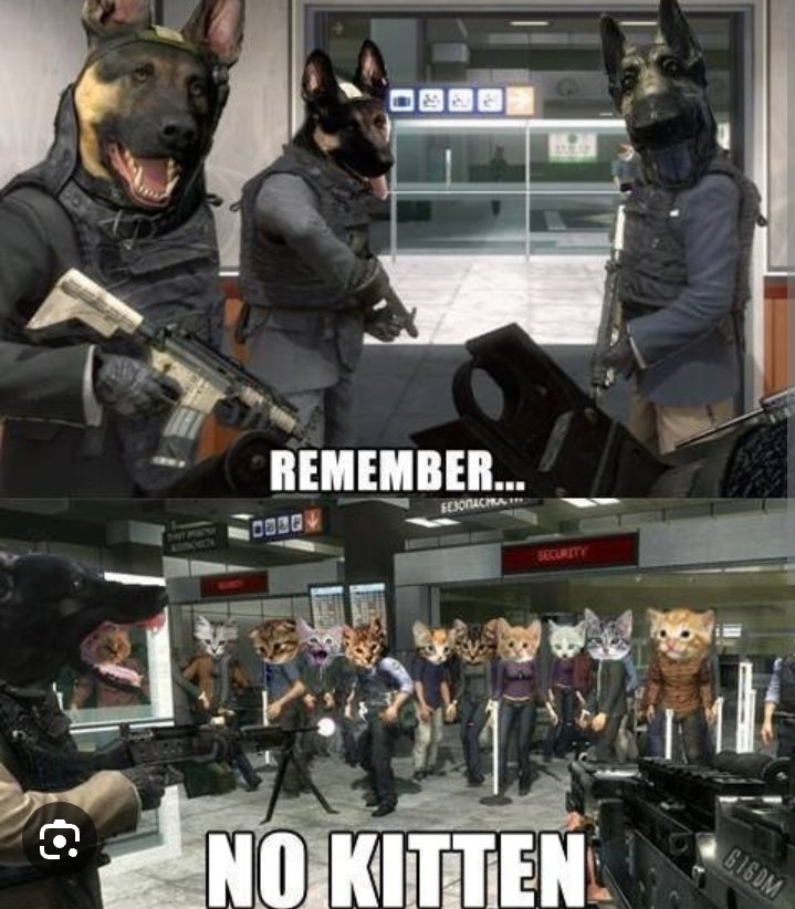 captain_cambo's tweet image. Call of Duty Ghosts memes @M3RKMUS1C