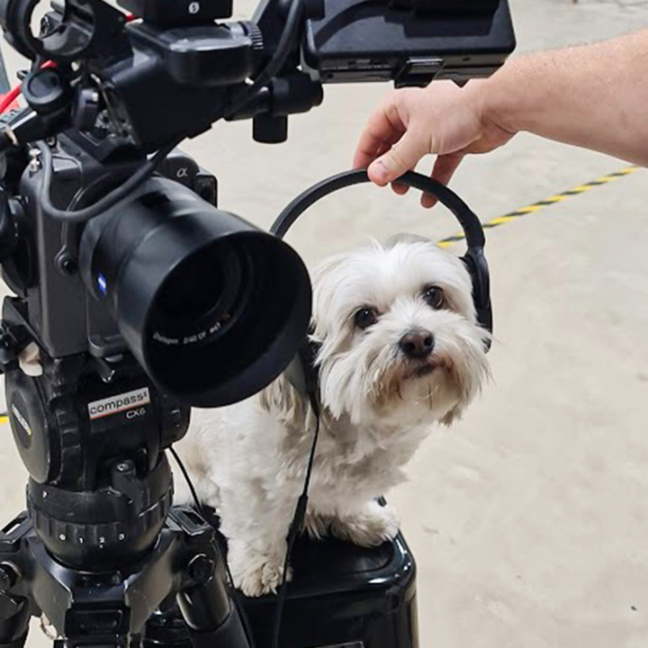 Happy Friday from our favorite paw-ducer and furry first mate! 🐾✈️🌟 #TeamAirspeeder #RoadtoFlyingCarRacing