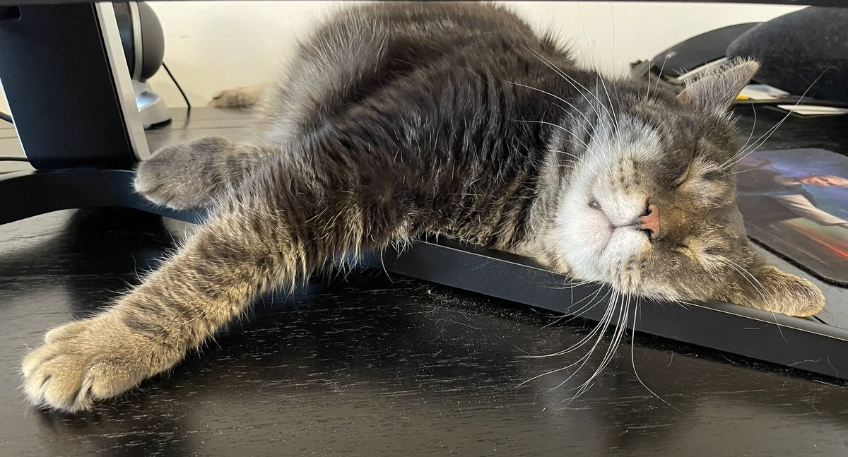 Bumi’s got that classic anime-cat-snaggletooth. I appreciate that he’s committed to the archetype.