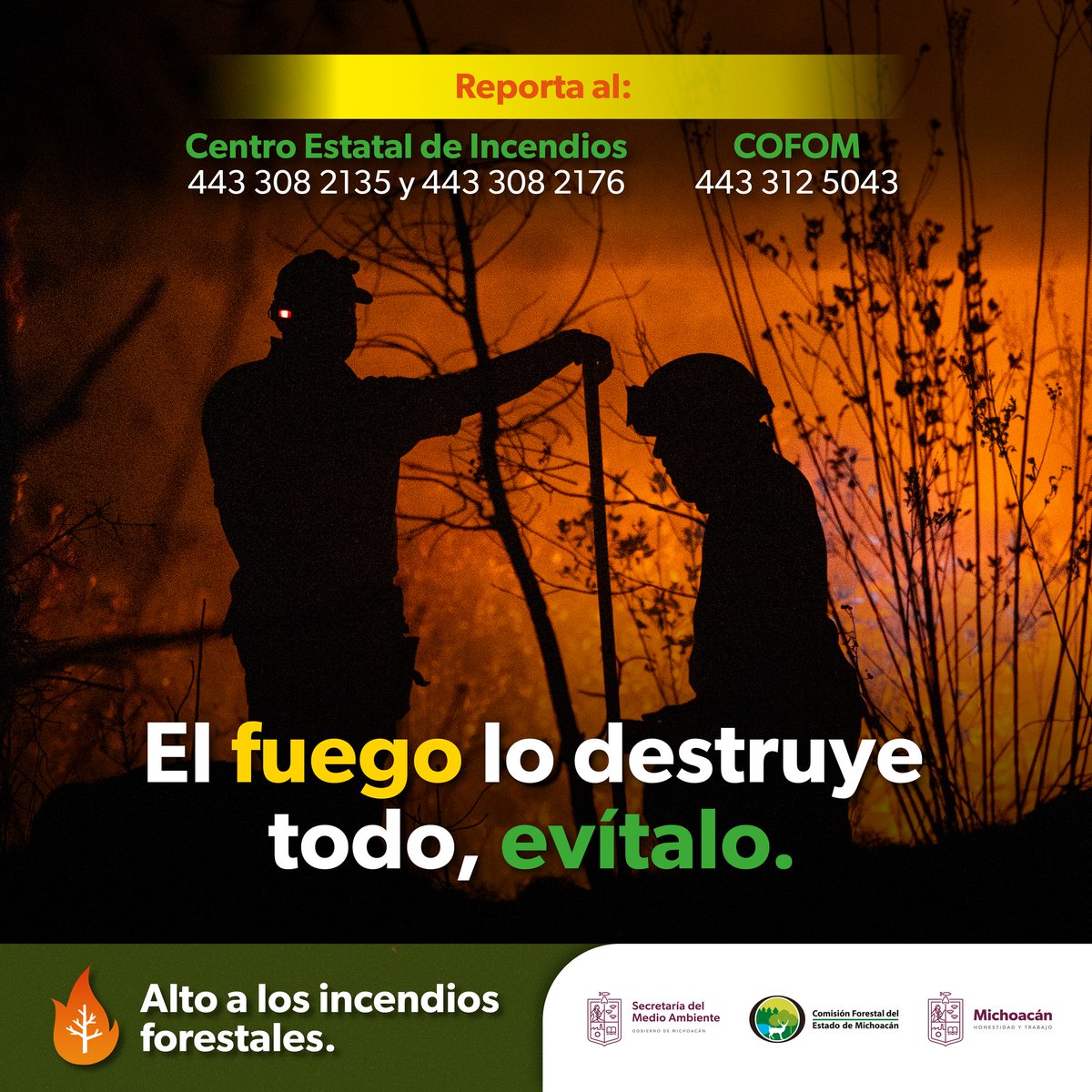 Recuerda extremar precauciones en termporada de calor; un incendio puede acabar con nuestros bosques, ¡échale una mano a nuestro medio ambiente!
#MedioAmbienteMichoacán #HonestidadyTrabajo #ALTOalosIncendiosForestales