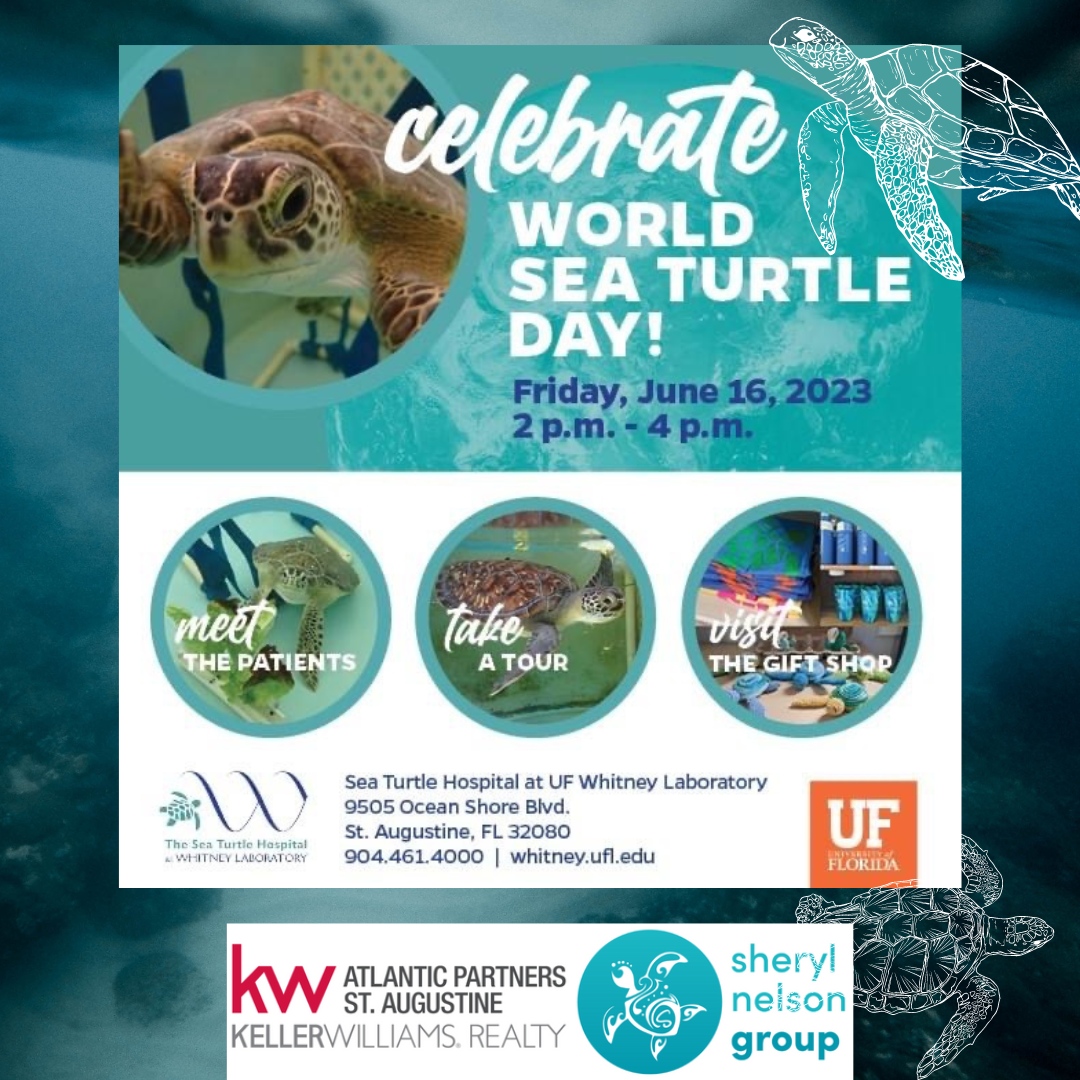 Celebrate WORLD SEA TURTLE DAY 🌊🐢

#STAhappy #SherylNelsonRealtor #KellerWilliamsStAug
#KellerWilliams #StAugustineRealtors #KWMilitary #sea_turtle_hospital_at_whitney #saveourseaturtles #conserveturtles #WhitneyLab #seaturtle #seaturtleconservation #therealdeal #ocean #scuba