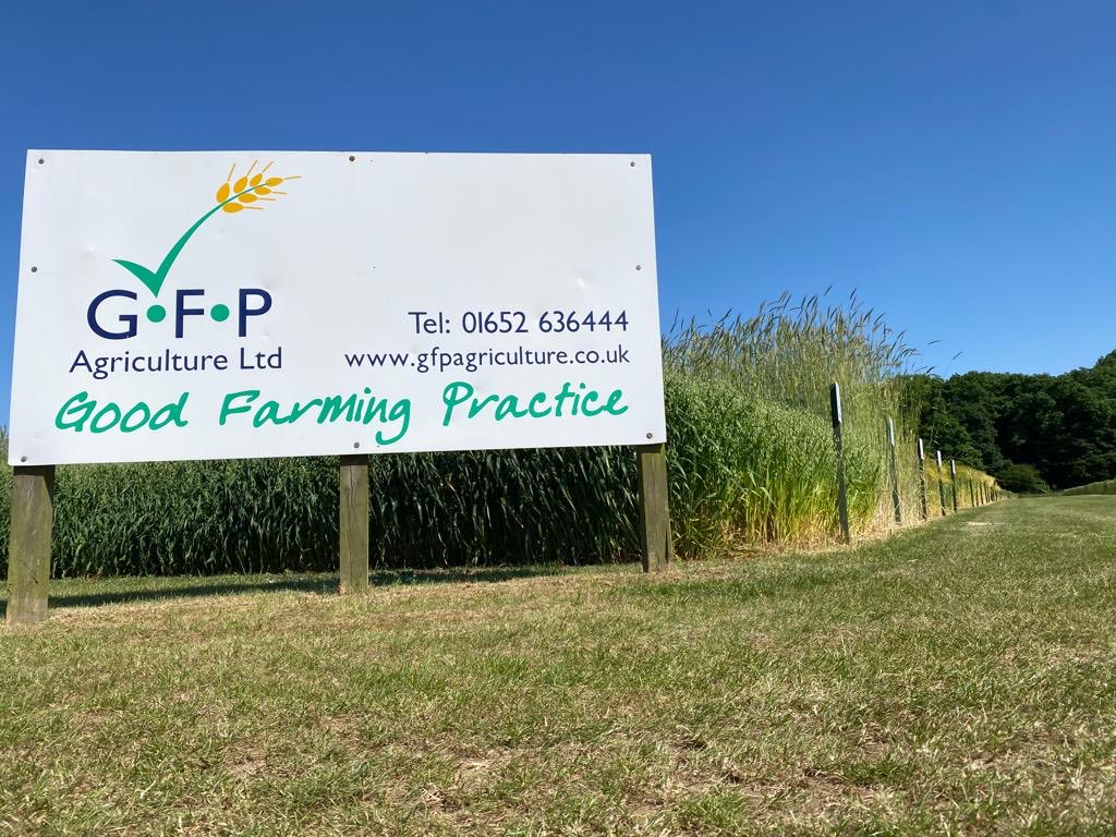 GFP Agriculture Ltd tweet media