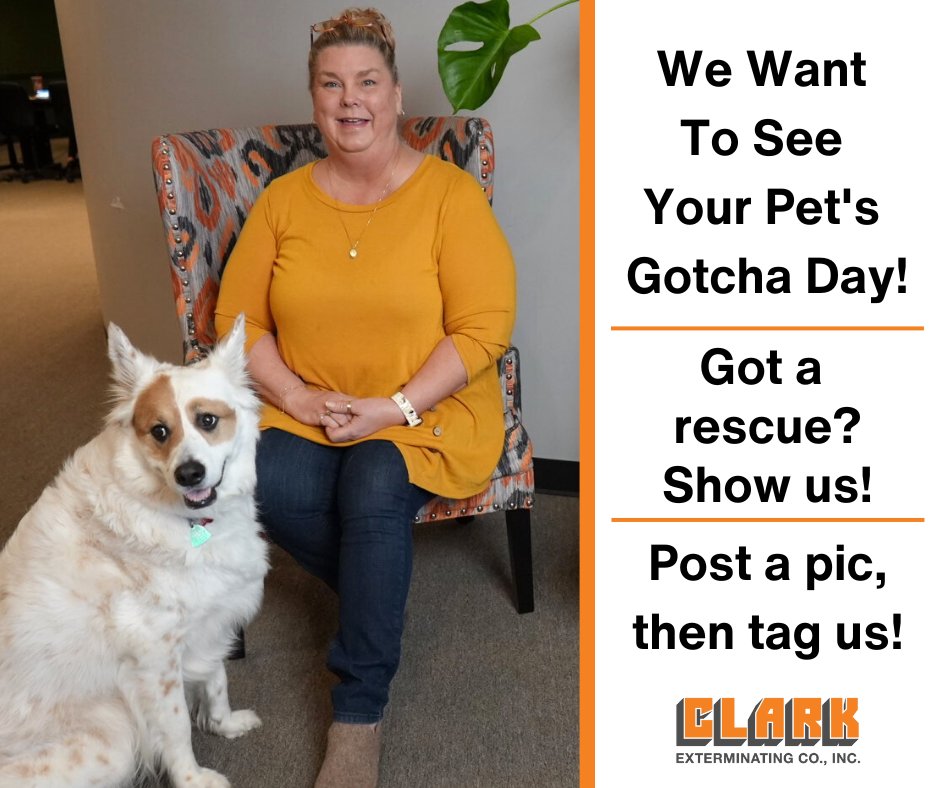 mybugproblem's tweet image. For every flea/tick service we provide, we make a donation to a local animal shelter as part of our Community Engagement Program. We are so happy to be helping our furry friends.

So we want to see YOUR furry friends! Tag us in pictures of your rescues on their &quot;Gotcha Day.&quot;