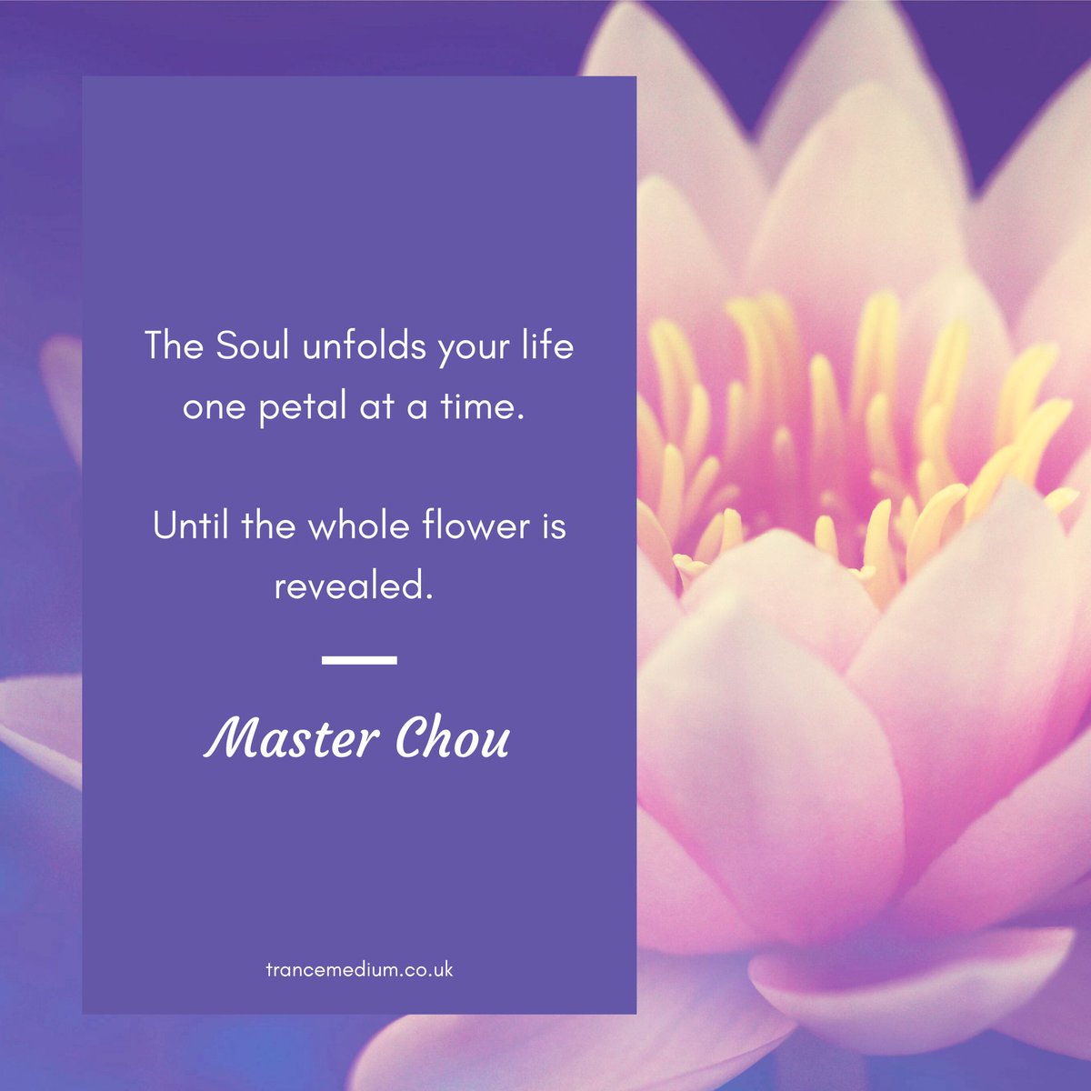 The Soul unfolds your life one petal at a time. Until the whole flower is revealed. Master Chou

#Soul-ledLiving #soulpurpose #soul #selfhelp #personaldevelopment #mindfulness #knowthyself #intuition #gutfeeling #innerpeace #selfcare #selfcaretips #innervoice #innerknowing