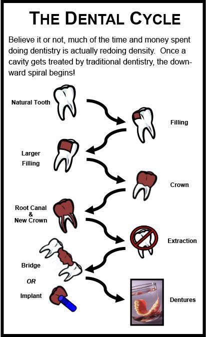 #Dentalfact You can prolong the cycle if you take care of your teeth. #dentalcare #oralcare #dentalhygiene #dentalhealth #oralhealth #oralhygiene #dentist #vancouverdentists #oralhygiene #teeth #oralcycle