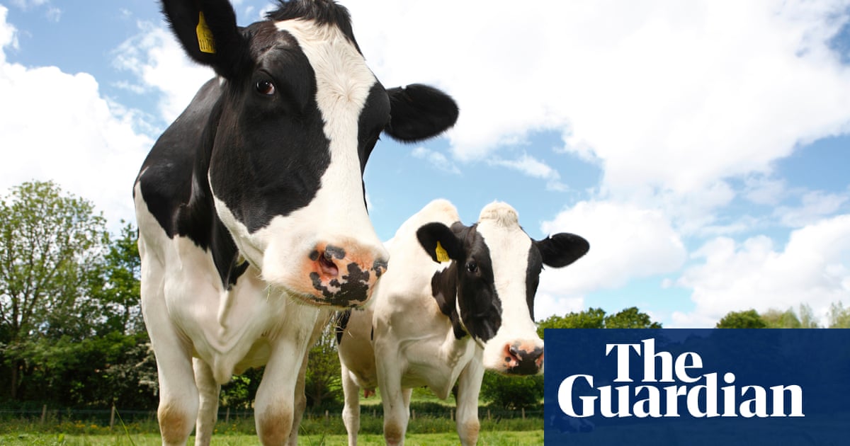 🎉🎉🎉 HUGE NEWS! 🎉🎉 🎉 

“We already knew when the food strategy came out it was completely useless and unfit for purpose, for health, food, farming and the climate. Now we know today it may well be illegal as well” Carina Millstone, Director

Read now: buff.ly/3NBpWRO