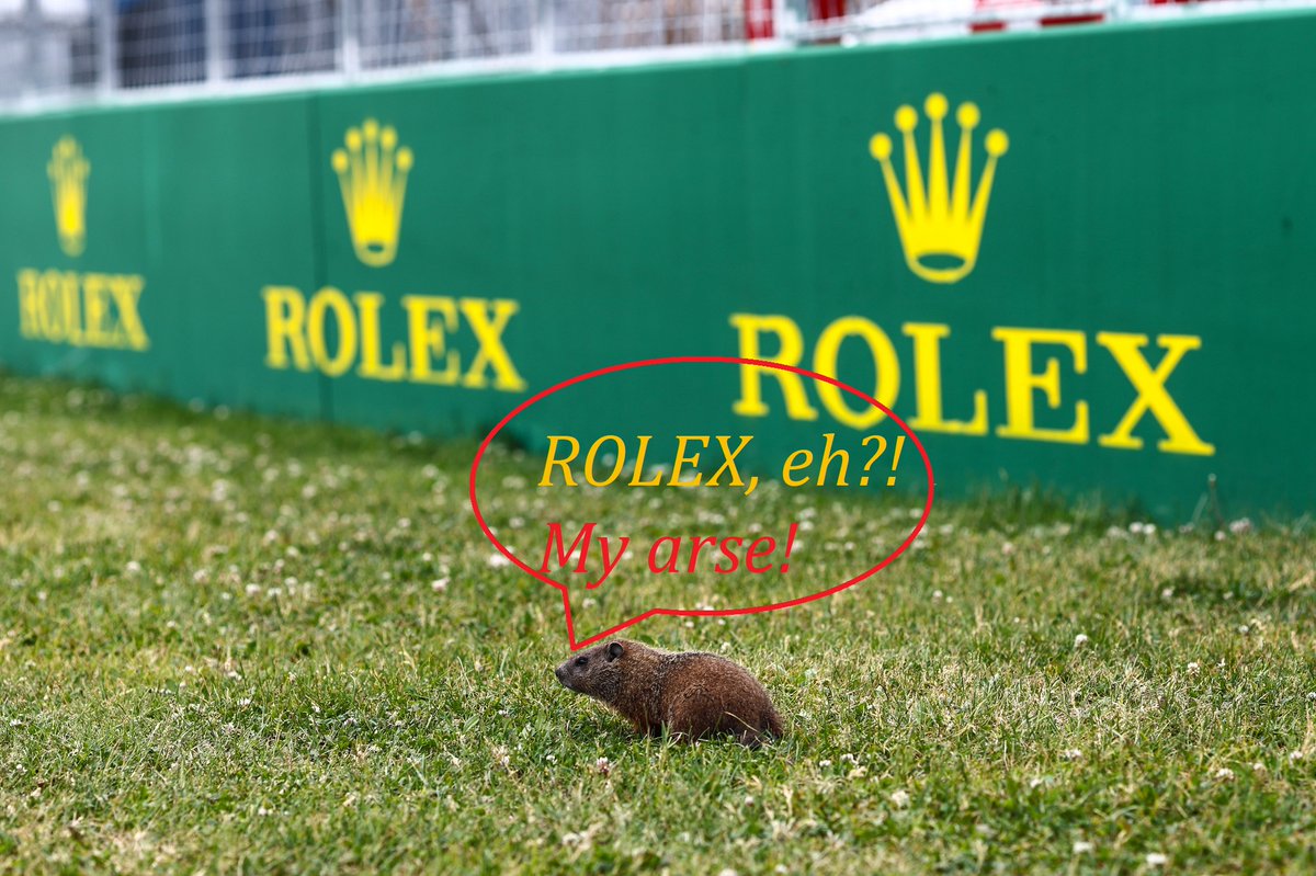 realsimonsays's tweet photo. Groundhog day. 🦝😎 #CanadianGP 🇨🇦 #F1farce https://t.co/c3RXmxSdOL