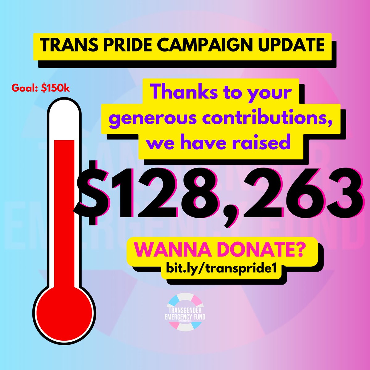 Trans Emergency Fund tweet media