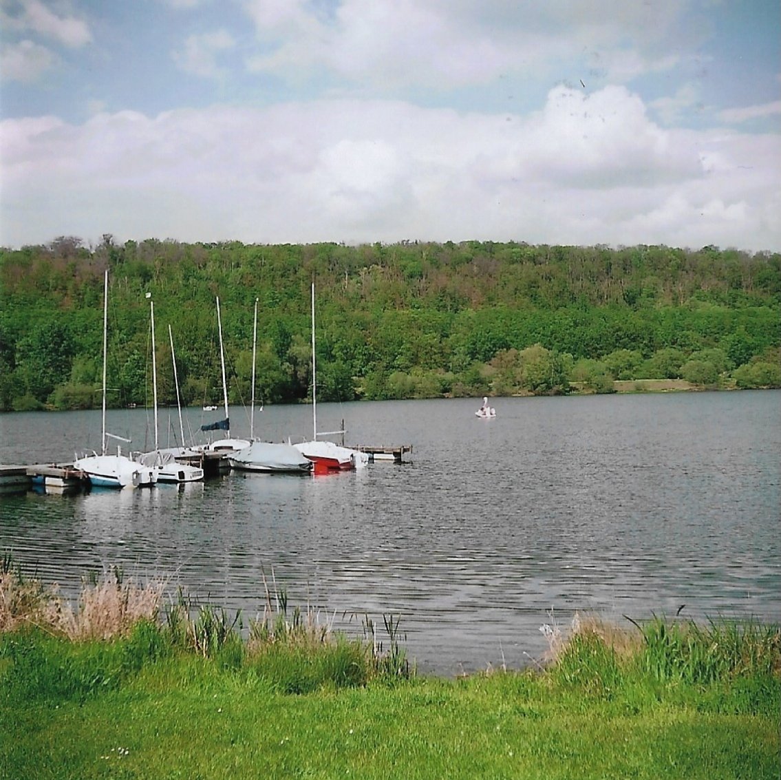 krempelkiste's tweet photo. Unterwegs mit meiner Zeiss Ikon Nettar 517/16 Mittelformatkamera.
#Fotografie #Photography #Analog #AnalogeFotografie #See #Lake #Natur #Gänse #Gese #Mittelformat #Kodak #KodakGold #KodakGold200 #Boot #Boote #Segelboot #Segelboote #Boat #Boats #SailingBoats #Segeln #Sailing https://t.co/9oywPhrZmv