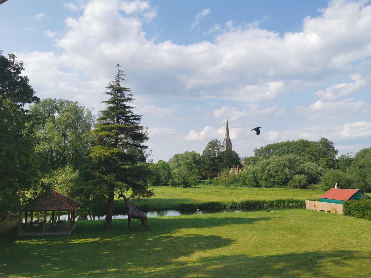 KarenAverby's tweet photo. I can think of worse places to spend the #weekend...
#riverside #cathedralview https://t.co/aaGhnStI6T