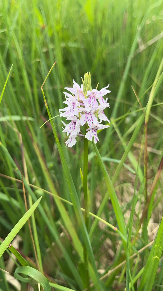 Stephen Trew tweet media