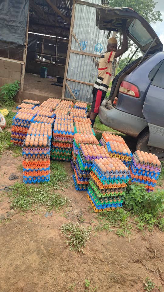 Omo eleyin yin ti de ooo,make una buy what I’m selling ooo
