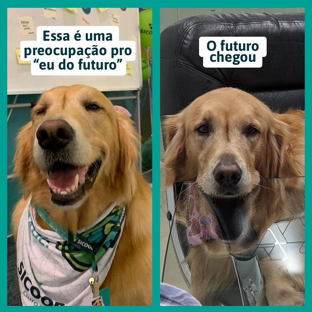 sicoob's tweet photo. Alguém se identifica com as comprinhas feitas na emoção e deixadas para o “eu do futuro” pagar? 😅 https://t.co/RIydjZ4PLd