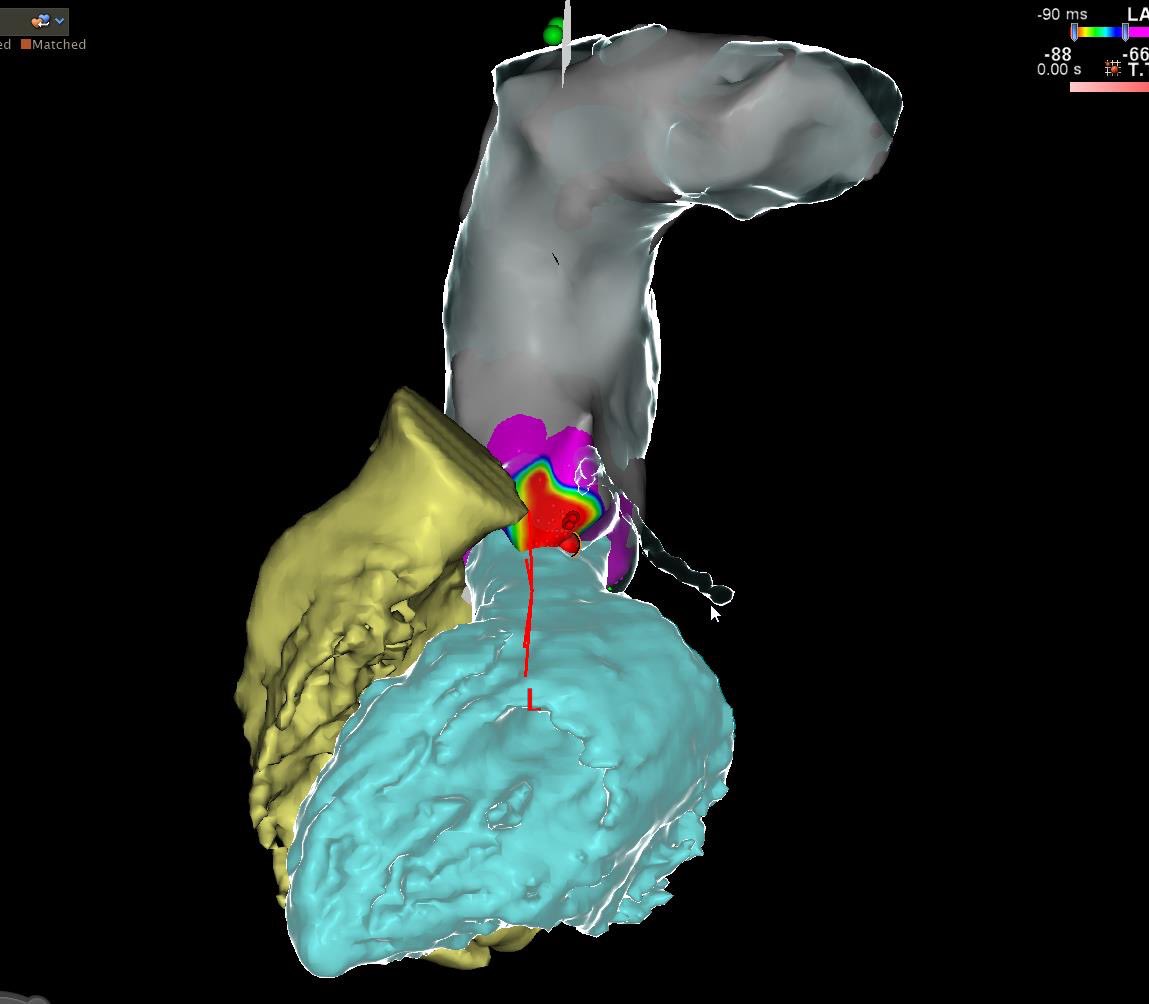 José Alderete M tweet media