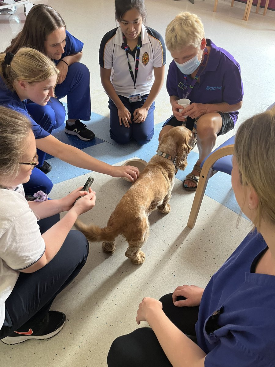 Dog therapy for the therapists. Thank you for spending time with our patients. It’s really helps their mental well-being. <a href="/CWVolunteering/">Chelsea and West Middlesex Volunteering Team</a> <a href="/ChelWestTherapy/">Chelwest Therapies 💙</a> <a href="/WestMidHospital/">West Middlesex University Hospital</a>