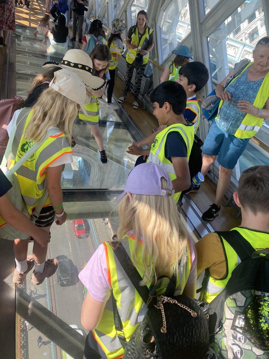 y5_windmill_ce tweet media