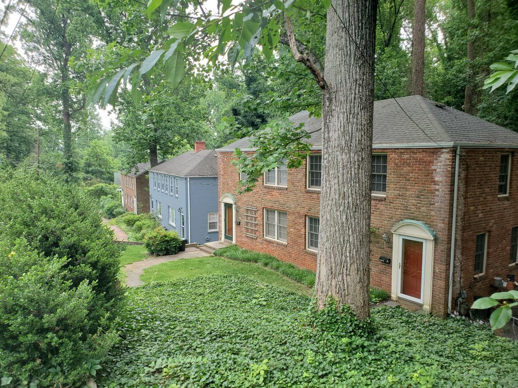 One of the fun things about canvassing all the multi-family homes that already exists throughout town, often surprising those who are nervous about rezoning. This lovely block of three duplexes is in the Greenleaf neighborhood, showcasing what #MissingMiddle can look like!