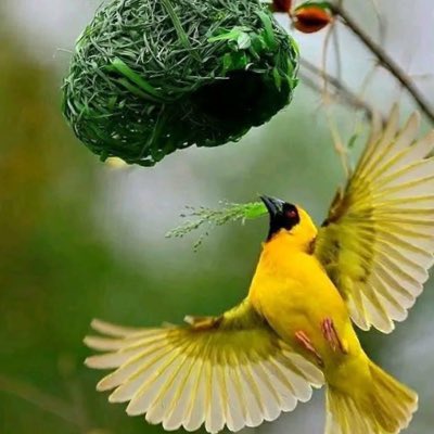 senayosef1's tweet photo. #NewProfilePic https://t.co/WRYoOCL8ld