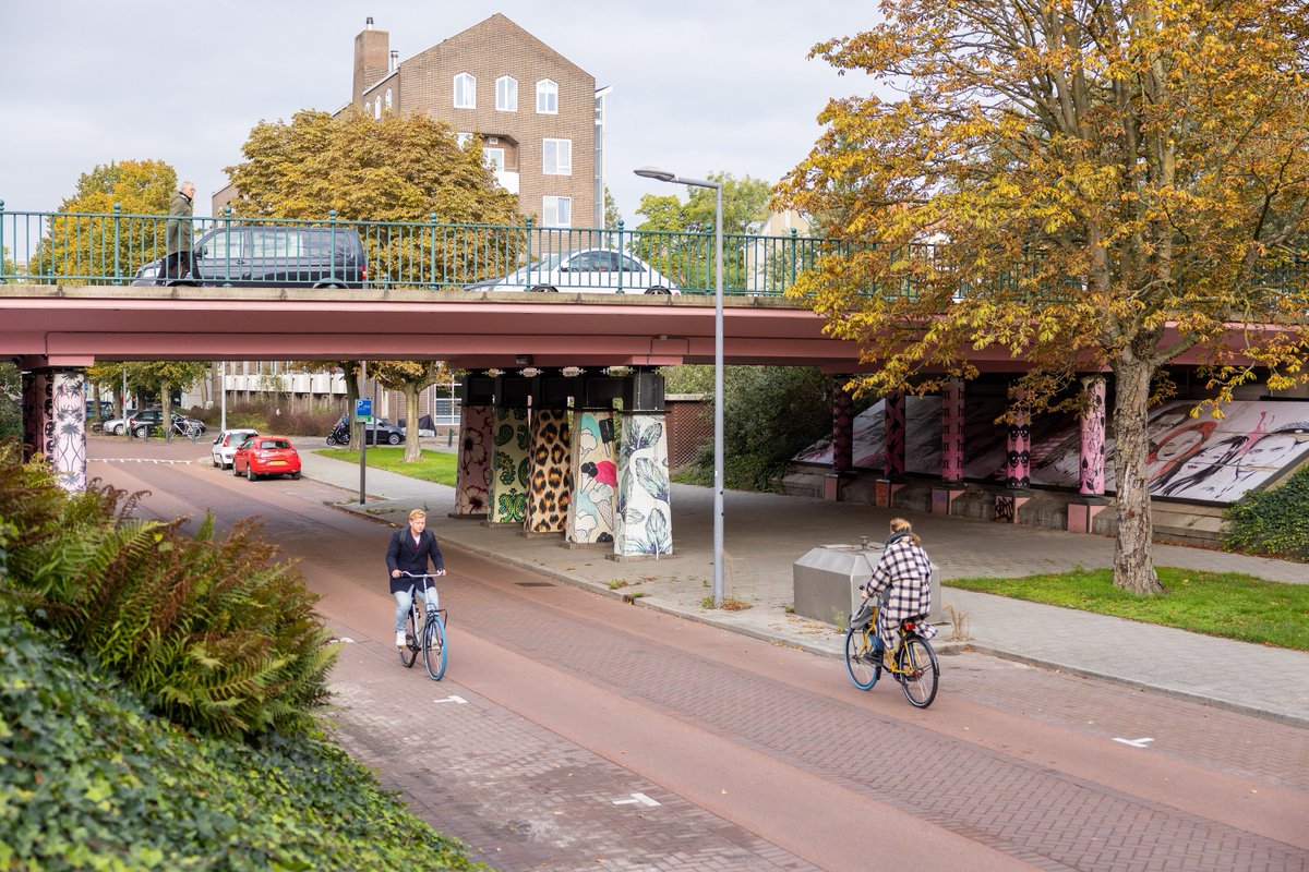 #Fietsen gezocht! Van 1 juni tot 1 september kun je op verschillende plekken in Rotterdam je oude fiets of fietsen inleveren of laten ophalen. Deze fietsen komen via de #Fietsbank terecht bij Rotterdammers met een kleine portemonnee.

Meer info: rotterdam.nl/fietsen-gezoch…