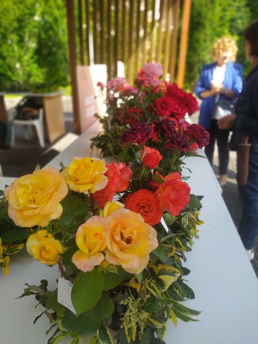 evdgalicia's tweet photo. Esta semana participamos en la #FiestadelaRosa organizada por el Concello de #MosBank 
Gracias a la invitación que nos realizaron pudimos mostrar parte de los trabajos que realizan las mujeres con discapacidad intelectual de nuestro centro de #Mos, como los productos de Luffaderm https://t.co/gHwz8kzn1s