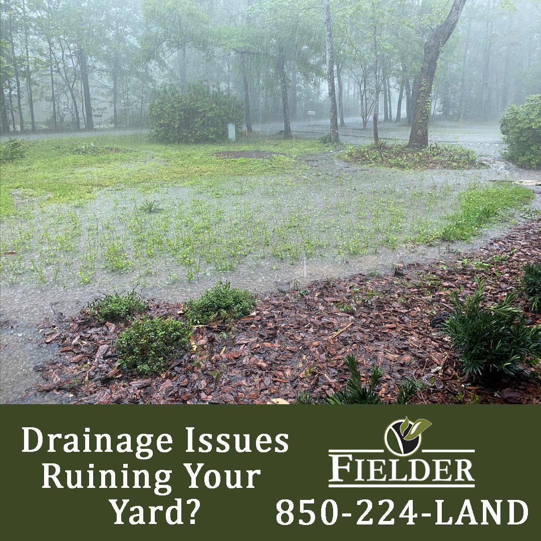 Is your yard looking more like a swimming pool, after heavy rain? 🌧️☔

📲Give us a call at 850-224-LAND to schedule your professional consultation today!📝
#Drainage #OneTeamOneFamily #HeavyRain #ApriShowers #Spring #ErosionIssues #DrainageSolutions