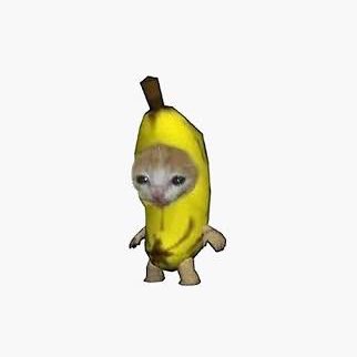 poorlycatdraw's tweet photo. banana cat https://t.co/U8W2V7wxvZ