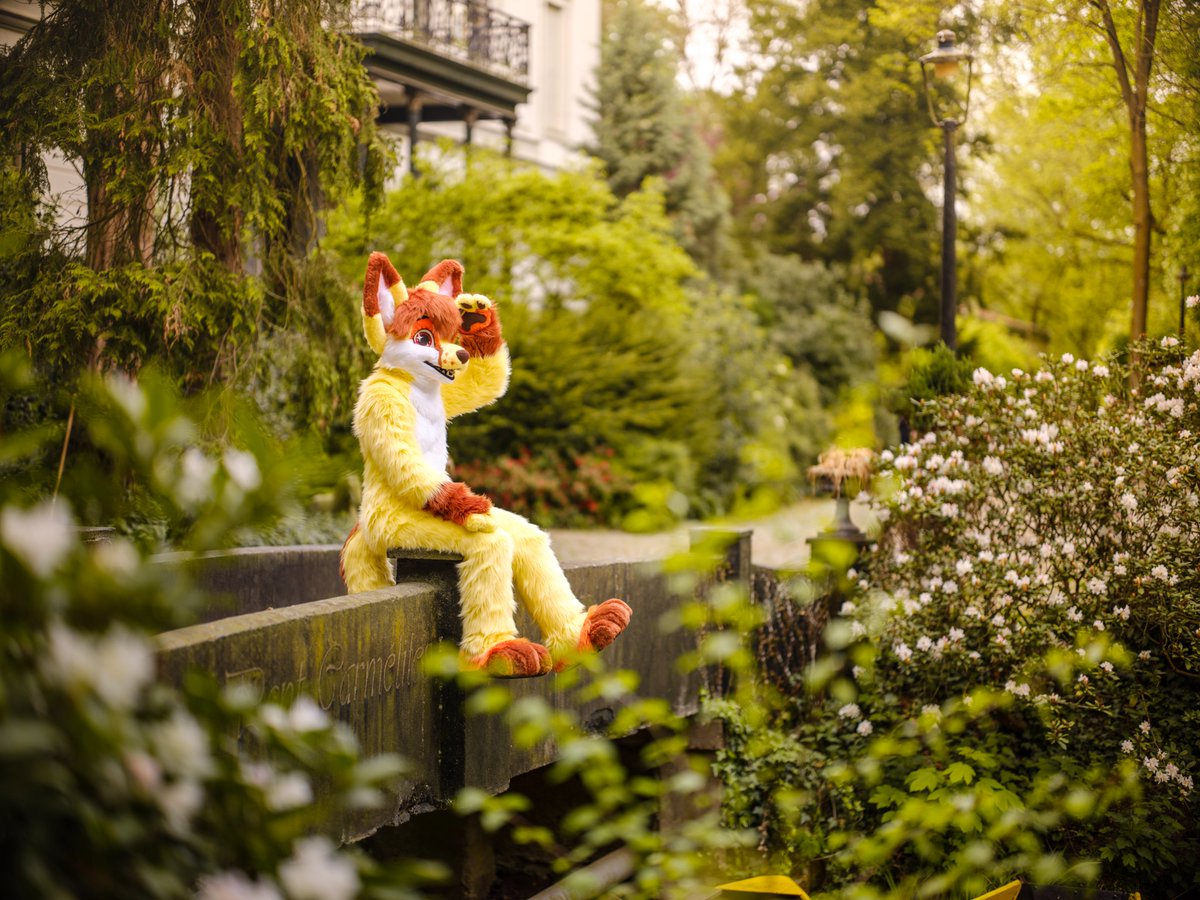 Shiny✨Kimiko (@shinykimiko) on Twitter photo Just checking if none of my cute fans forgot about me! ಠ⌣ಠ #FursuitFriday
📷<a href="/CaptainChaotika/">🌻 混沌的隊長 ➡️ TFF, AC, EF</a>
✂️<a href="/R5suits/">R5Suits (Rodney) 🌰12 years of talent✨</a>/<a href="/DreamCally/">CallyDream</a> Just checking if none of my cute fans forgot about me! ಠ⌣ಠ #FursuitFriday
📷<a href="/CaptainChaotika/">🌻 混沌的隊長 ➡️ TFF, AC, EF</a>
✂️<a href="/R5suits/">R5Suits (Rodney) 🌰12 years of talent✨</a>/<a href="/DreamCally/">CallyDream</a>