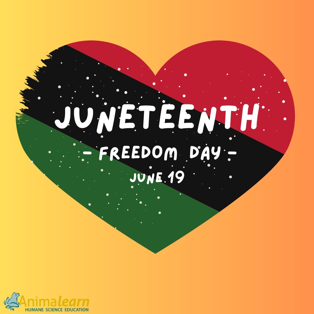 Happy #Juneteenth from Animalearn!

#humanescience #humaneeducation #teachers #educators #scienceeducation #dissectiondoesntcutit #putthelifebackinlifescience #animalearn #teachertwitter #edutwitter #k12 #highered