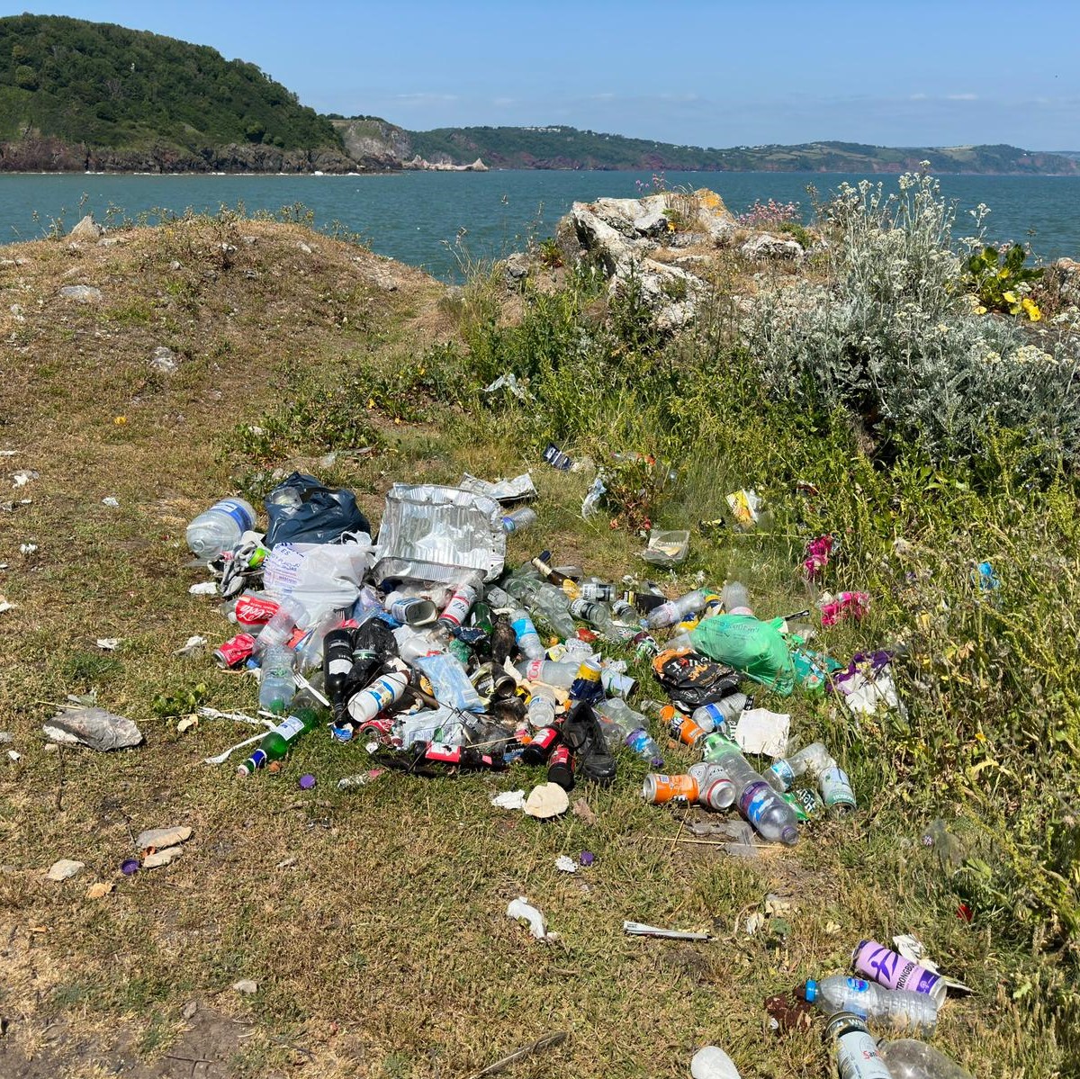 Torbay Coast & Countryside Trust tweet media