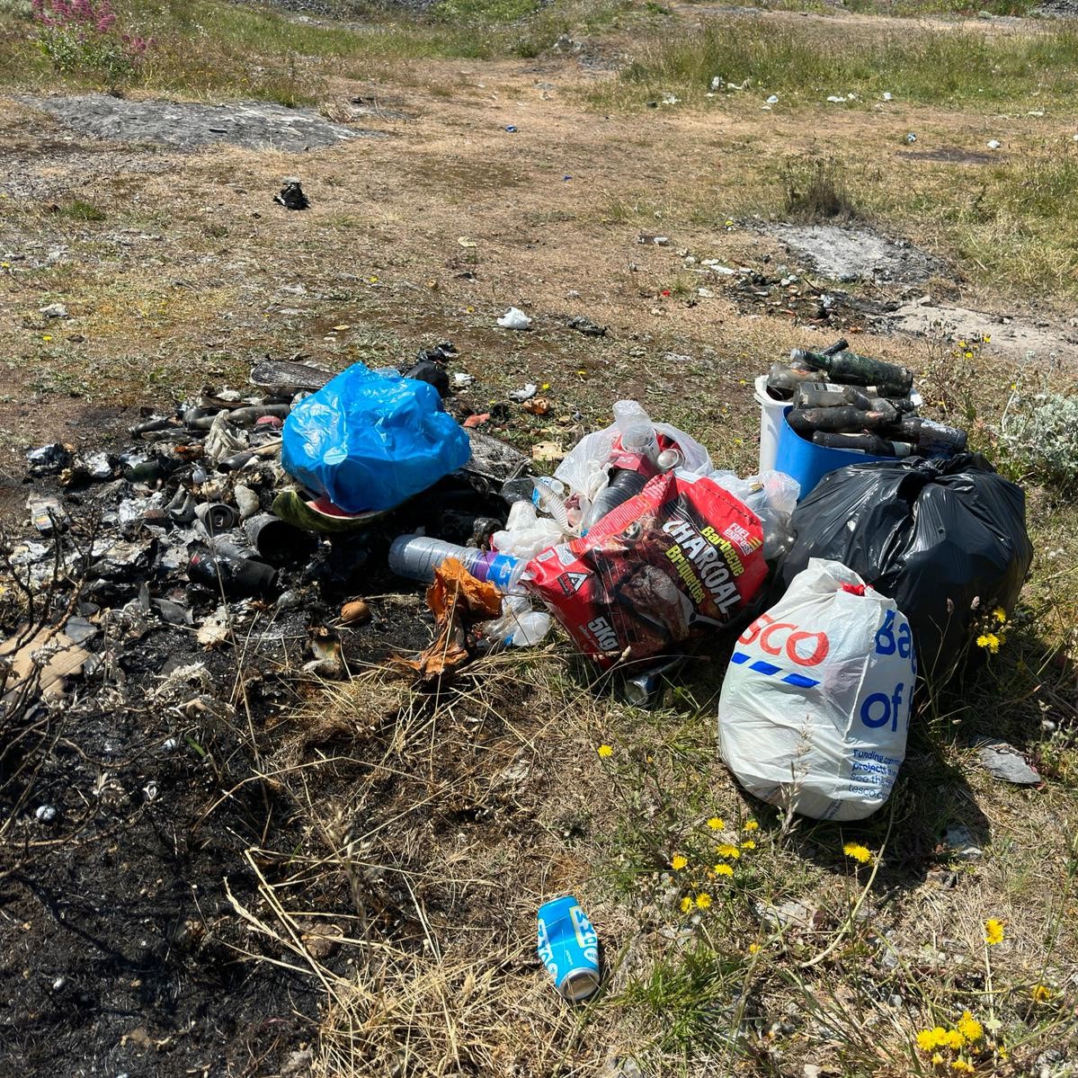 Torbay Coast & Countryside Trust tweet media